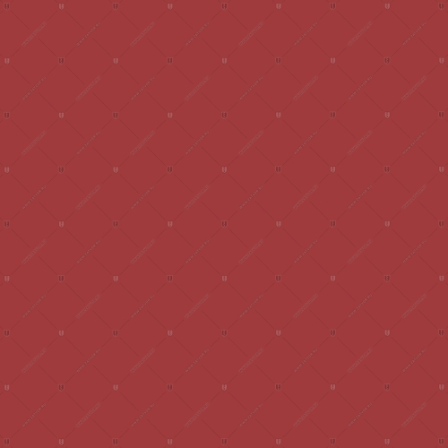 RAL 3002