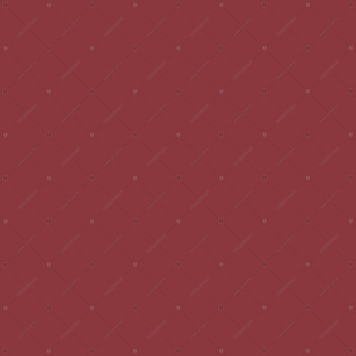 RAL 3003
