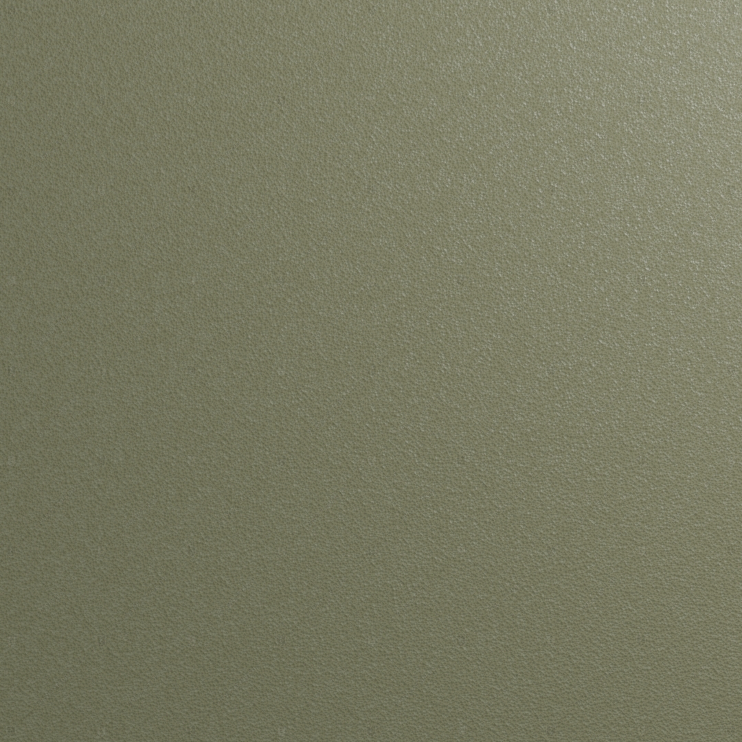 RAL 6003