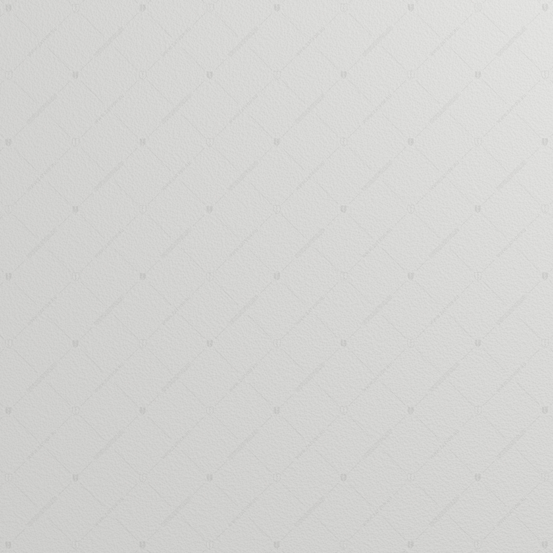 RAL 9003