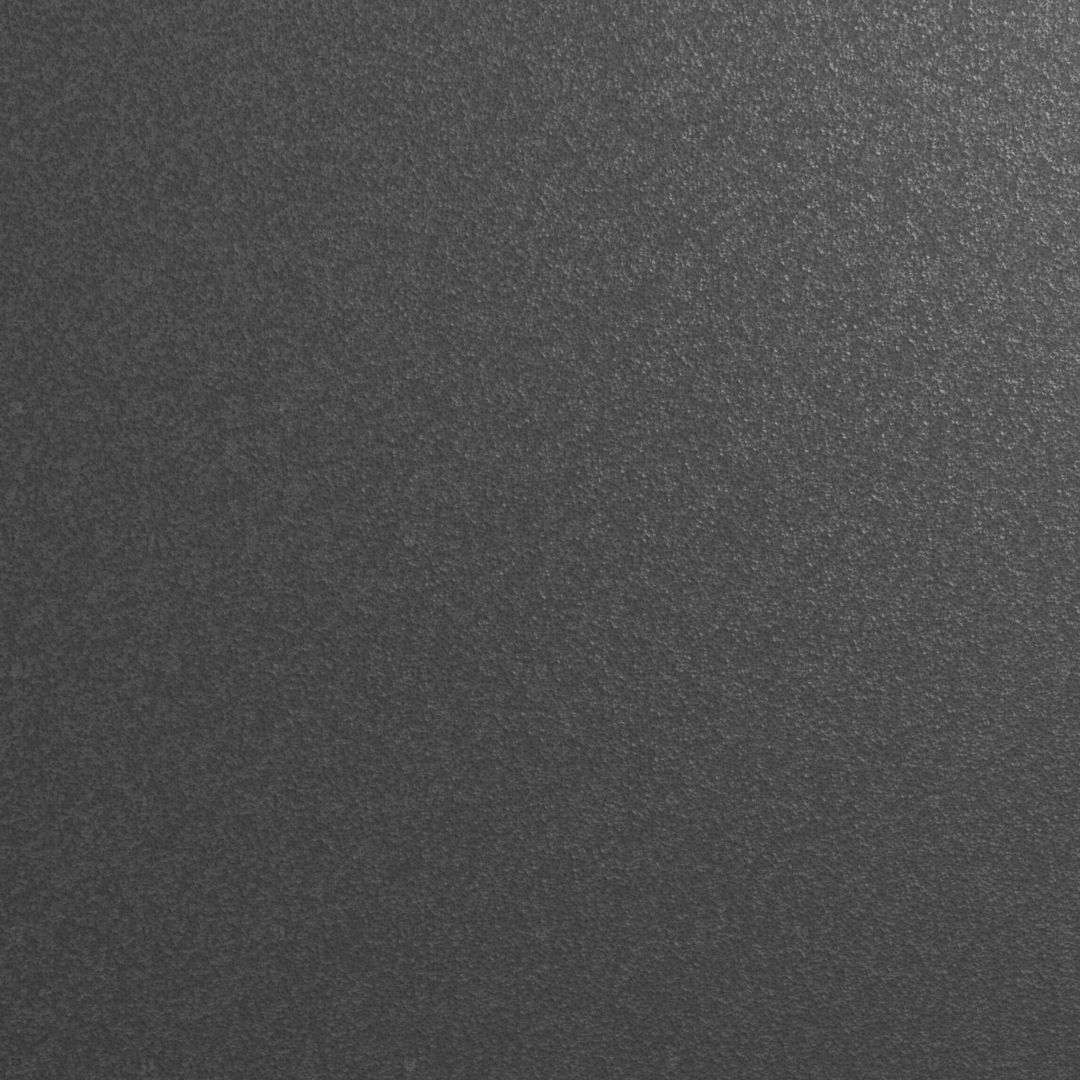 RAL 9004