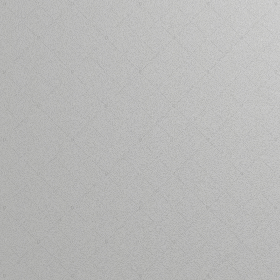 RAL 9006