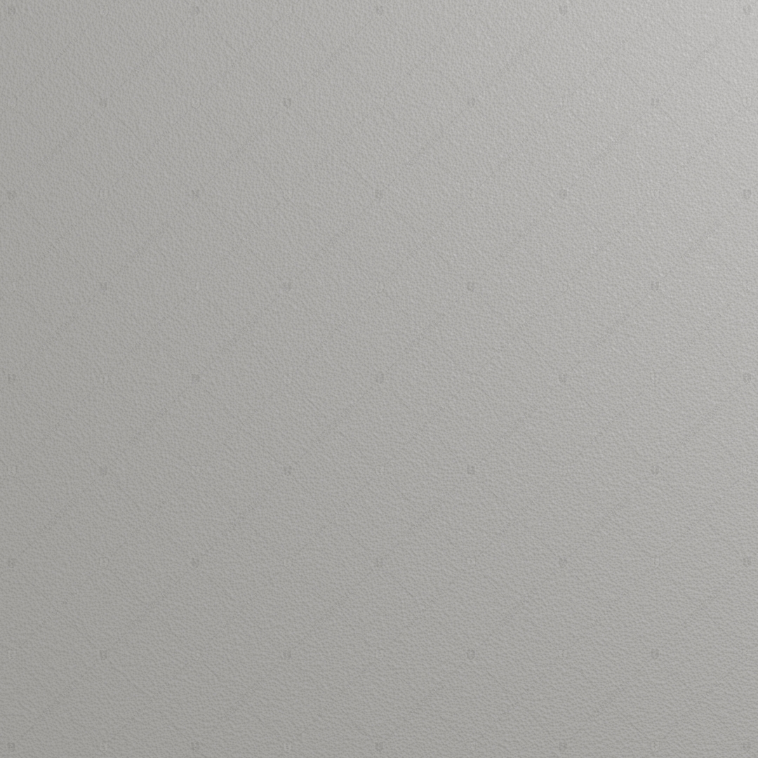 RAL 9007