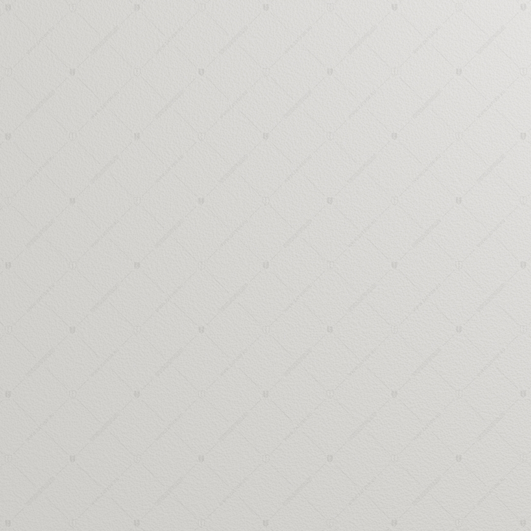 RAL 9010